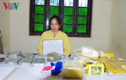 Large quantities of drugs seized in Dien Bien, Nghe An