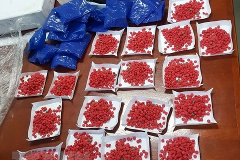 Thanh Hoa police arrest drug traffickers 