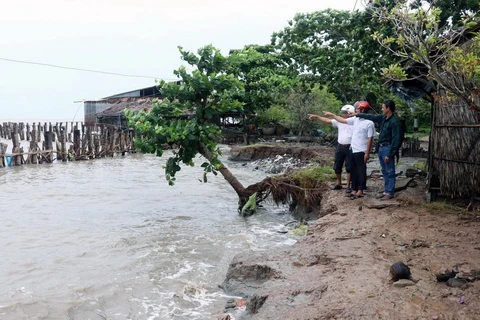 Kien Giang asks for government’s support in fixing urgent coastal erosion