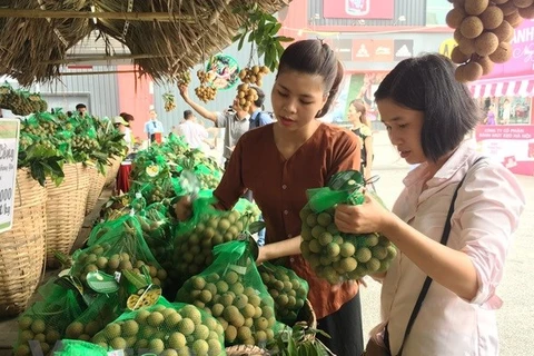 Ministry to hold trade activities to promote longan consumption