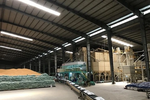 Vietnam wins contract to export rice to RoK