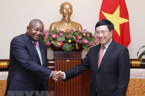 Deputy PM Pham Binh Minh welcomes new Mozambican ambassador