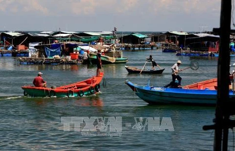 Kien Giang urged to protect aquatic resources 