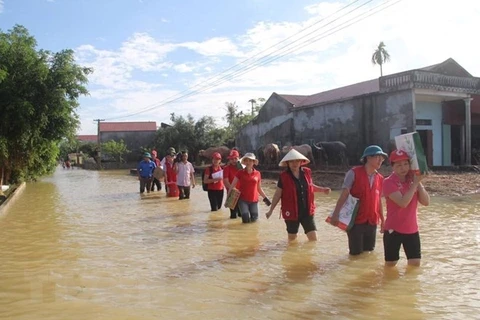 Vietnam Red Cross enhances cooperation with IFRC