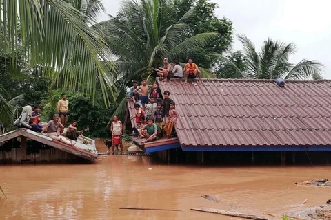 Vietnamese firm tries to take workers out of flooded area in Laos