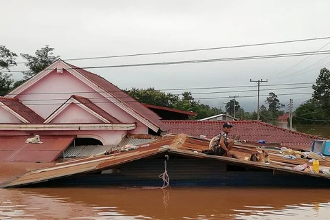 VFF President extends sympathy over Laos’ dam collapse 