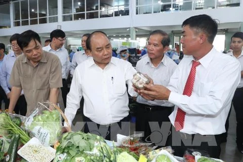 PM visits high-tech agri production model in Lam Dong