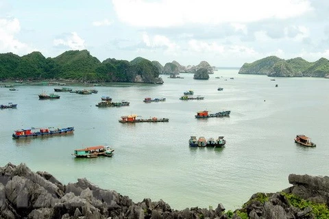 Hai Phong: Tourist arrivals surge 19.9 percent in seven months