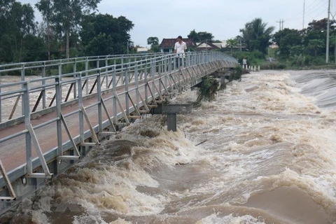 Mekong Delta asked to prepare natural disaster prevention plans
