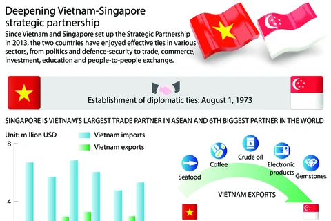 Vietnam sends greetings to Singapore over 45-year ties