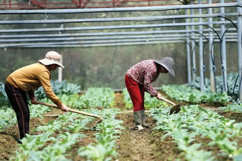 More investment needed for agriculture sector