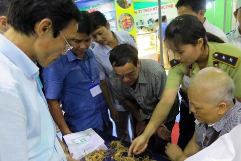 Second Ngoc Linh ginseng festival opens in Quang Nam 