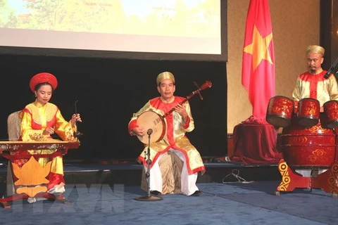  Vietnamese Cultural Day held in Singapore 