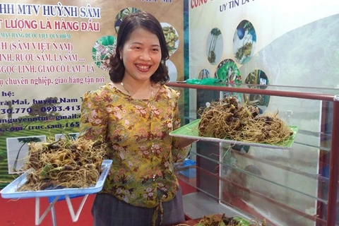 Virtual portal on Ngoc Linh ginseng tourism area launched