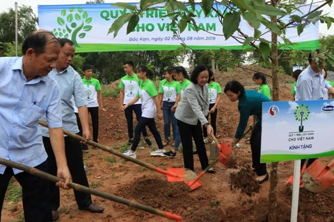 Programme planting 100,000 trees in Bac Kan launched