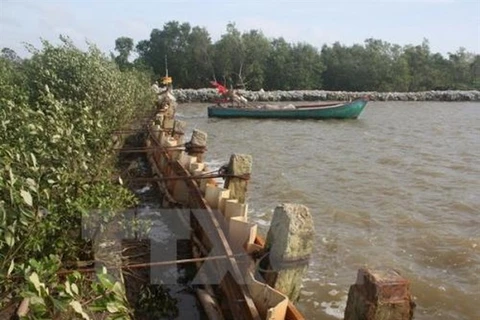 Nearly 2.6 million USD for sea embankment projects in Ca Mau