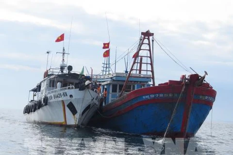 Vietnam pushes drastic measures to fight IUU fishing 