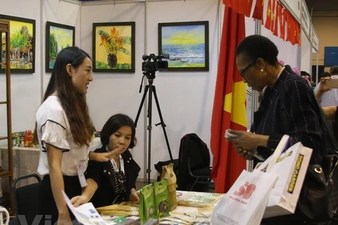 Embassy works to boost Vietnam-South Africa cooperation