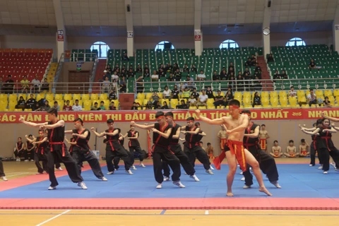Martial arts exchange between Vietnamese, French provinces