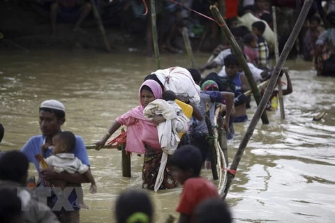 Myanmar, Japan FMs discuss Rohingya-involved crisis
