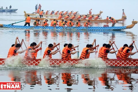Hanoi to host annual dragon boat race