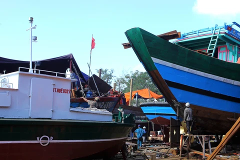 Thua Thien-Hue supports offshore fishing