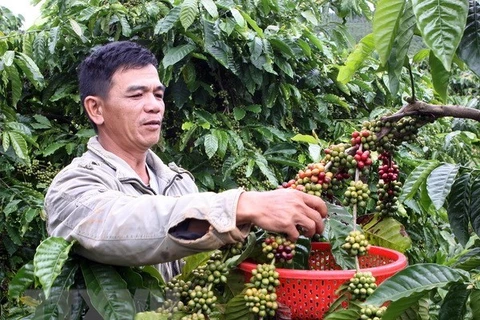 Book promotes Vietnam’s geographical indication-registered products 