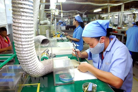 Vietnam, southern African countries share experience in developing MSMEs