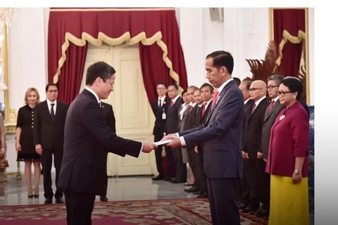 Vietnam, Indonesia look towards deeper strategic partnership: Ambassador