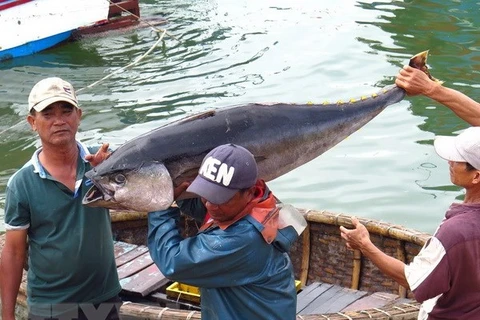 Tuna exports likely to hit 500 million USD in 2018
