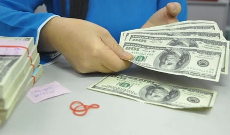 Remittances to Vietnam expand despite rise in USD price