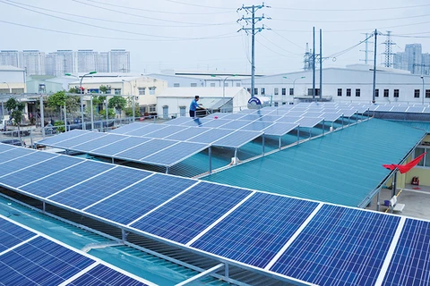 Rooftop solar panels can satisfy half of power demand: experts 