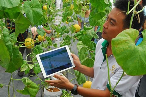 Can Tho promotes startup spirit among farmers