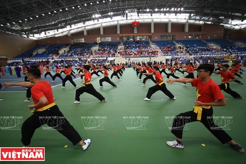 Second world championship of Vietnamese martial arts opens
