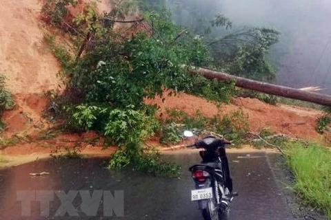 Landslide-hit Kon Tum – Laos route reopens to traffic 