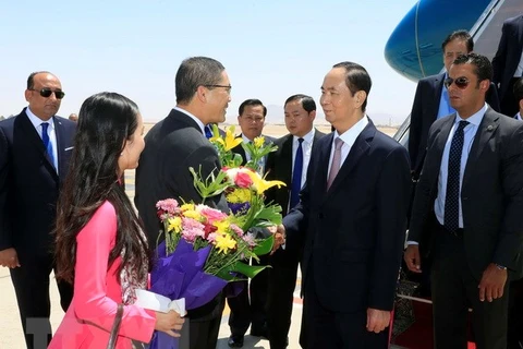 President Tran Dai Quang begins State visit to Egypt