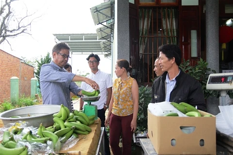 Lam Dong exports Laba banana to Japan