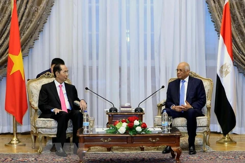 President: Vietnam maintains friendship with Egypt via different channels 