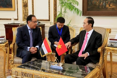 Vietnam, Egypt should bolster trade promotion: President