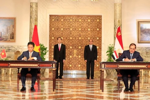 Vietnam, Egypt issue joint statement 