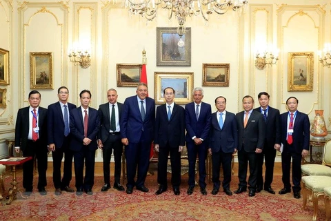 Vietnamese President meets FEDCOC leaders, concludes Egypt visit