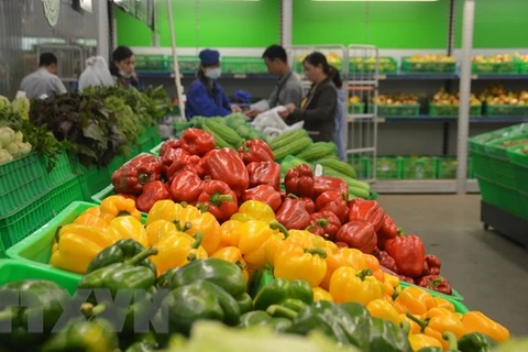 Vegetable, fruit exports hit 2.7 billion USD in eight months