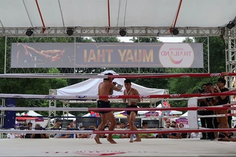 Tenth Thai Festival slated for mid-September in Hanoi 