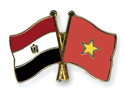 Congratulations on 55th anniversary of Vietnam-Egypt ties