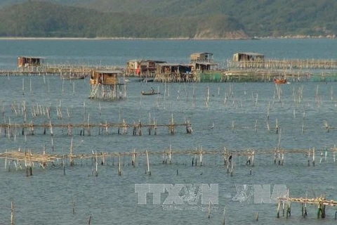 Khanh Hoa approves ambitious fishery development plan