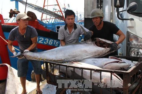 Thua Thien-Hue spends 1.5 million USD to support fishermen 