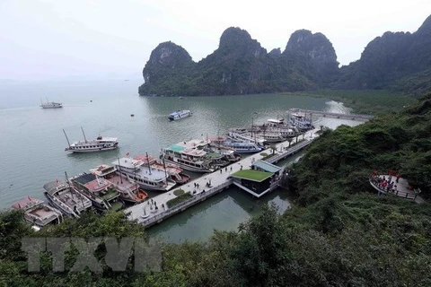 Quang Ninh works to raise quality of tourist ships on Ha Long Bay