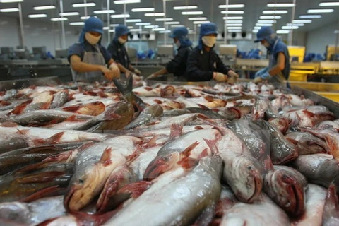 Tra fish shipments give hope to aquatic product exports 