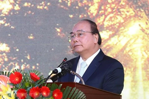 PM: Ngoc Linh ginseng needs protection as national brand 