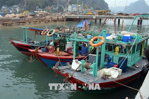 Fishing to be forbidden in Ha Long Bay’s natural reserves 